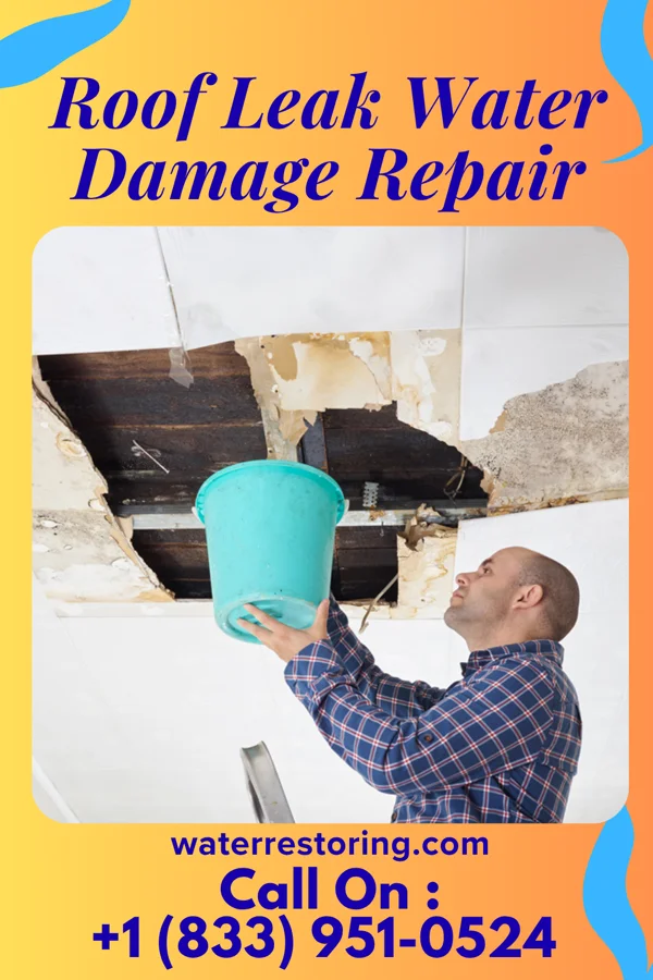 Roof Leak Water Damage Repair in Idanha, OR